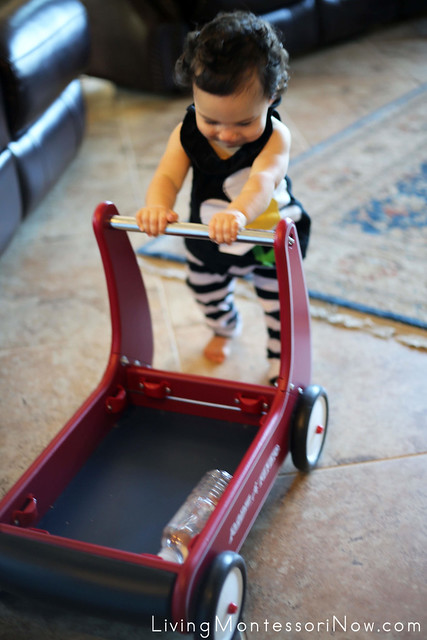 Giving the Sensory Bottle a Ride in the Radio Flyer Walker Wagon (11 months)