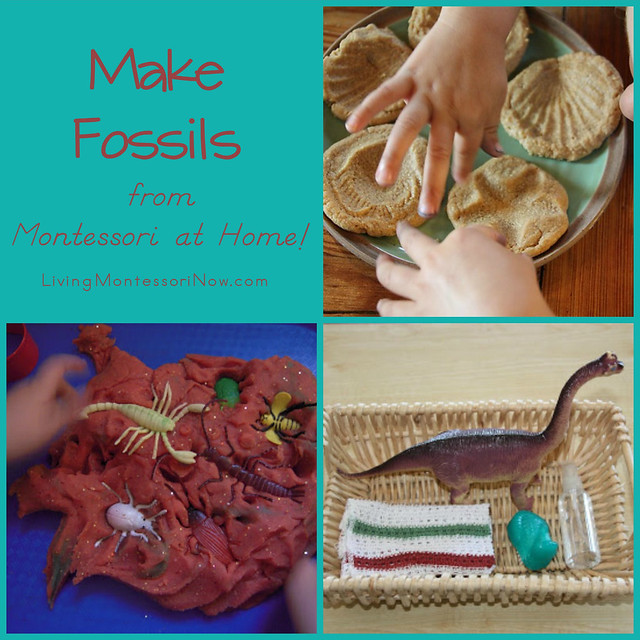 Make Fossils from Montessori at Home