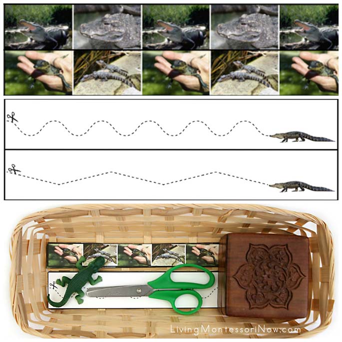 Alligator Cutting Strips with Basket and Safari Ltd Alligator