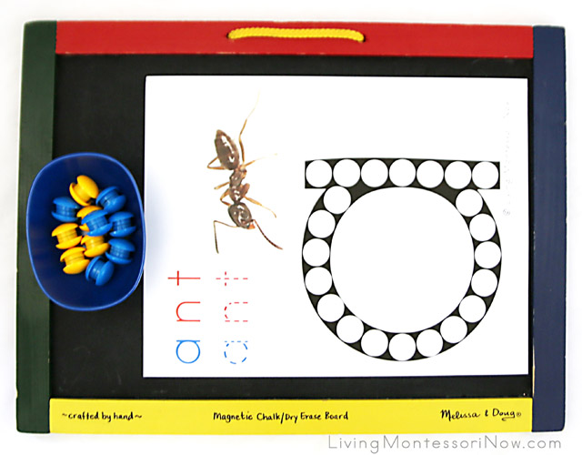 Ant Do-a-Dot Activity with Power Magnets