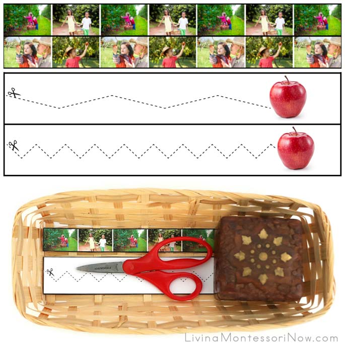 Apple Cutting Strips with Basket