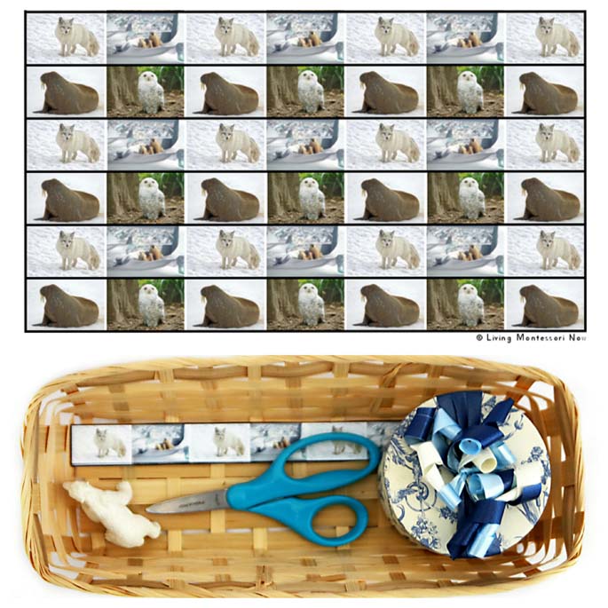 Arctic Animal Cutting Strips with Basket