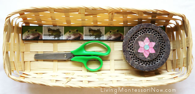 Basket with Frog Cutting Strips