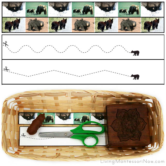 Bear Cutting Strips with Basket