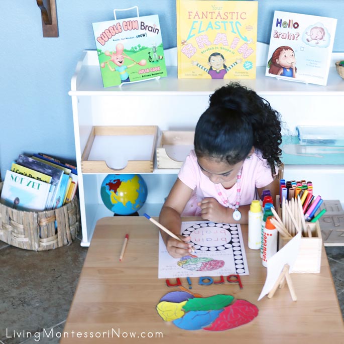 Coloring Parts of the Brain on the Brain Do-a-Dot Printable