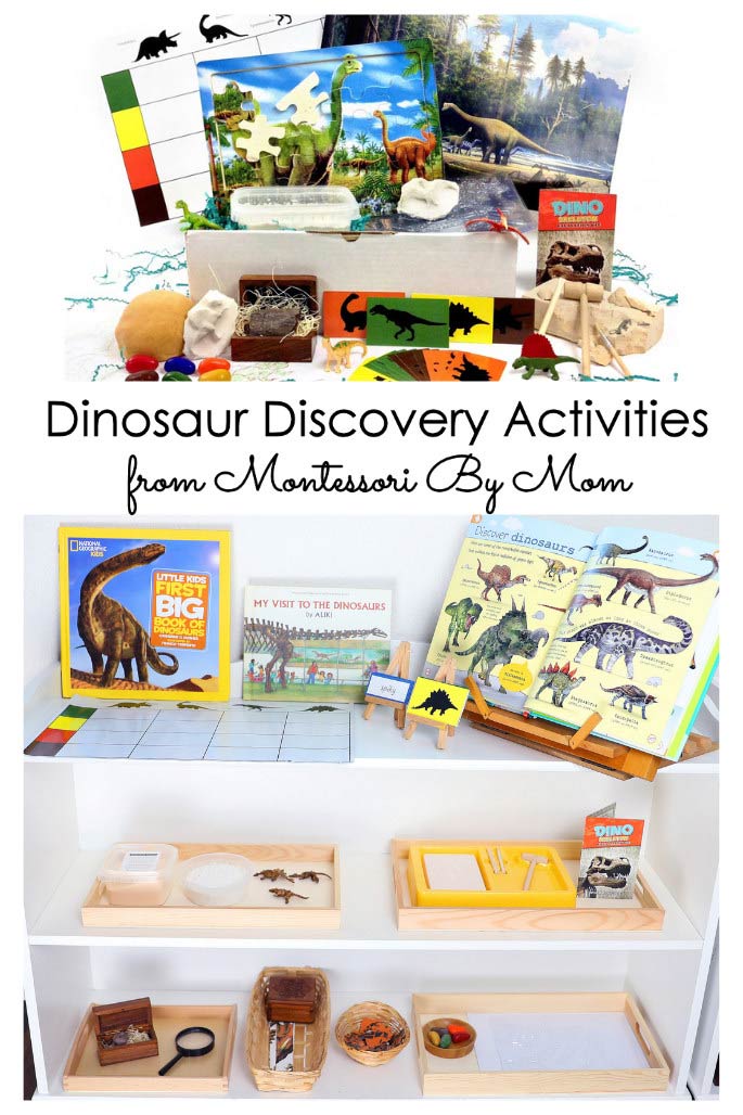 Dinosaur Discovery Activities from Montessori By Mom