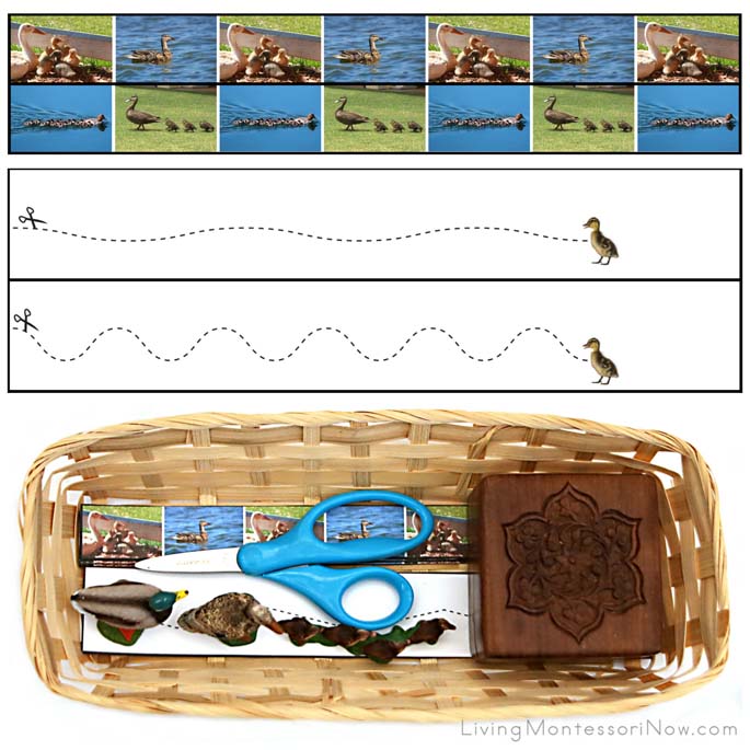 Duckling Cutting Strips with Basket