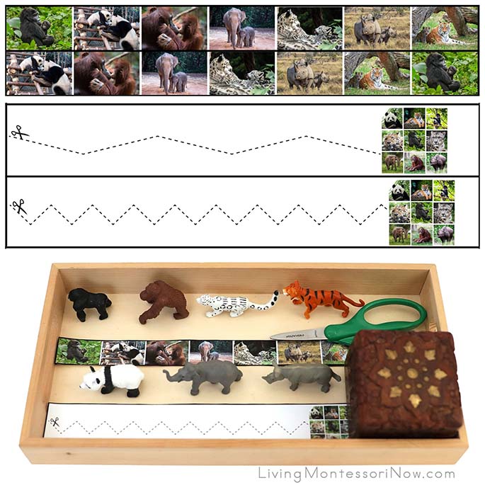 Endangered Animal Cutting Strips and Safari Ltd. Endangered Species Figures with Tray