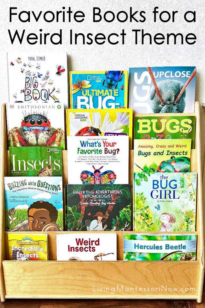 Favorite Books for a Weird Insect Theme