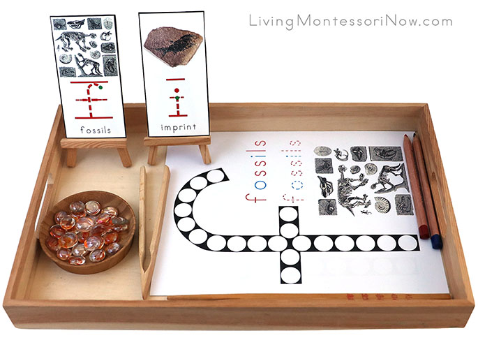 Fossils and Imprint Do-a-Dot Tray with Glass Gem Transfer
