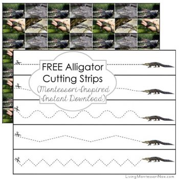 Free Alligator Cutting Strips (Montessori-Inspired Instant Download)