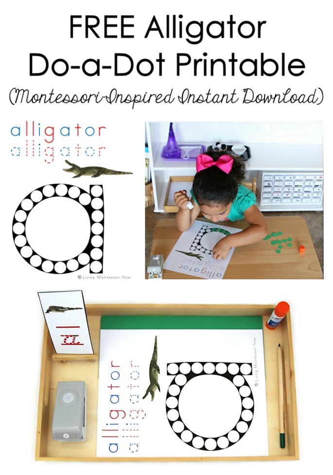 Free Alligator Do-a-Dot Printable (Montessori-Inspired Instant Download)