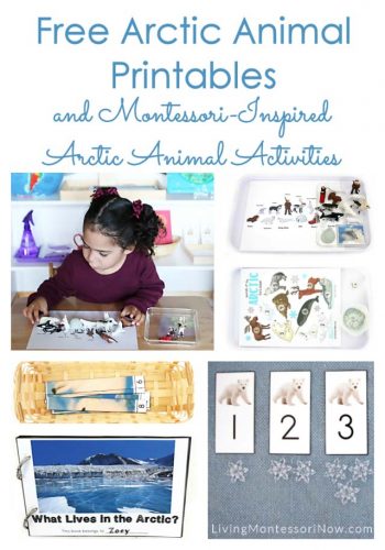 Free Arctic Animal Printables and Montessori-Inspired Arctic Animal Activities
