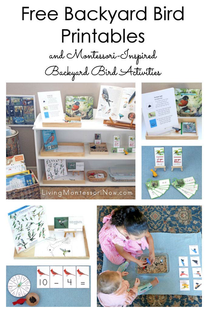 Free Backyard Bird Printables and Montessori-Inspired Backyard Bird Activities