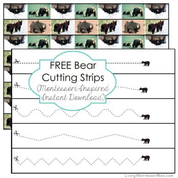 FREE Bear Cutting Strips