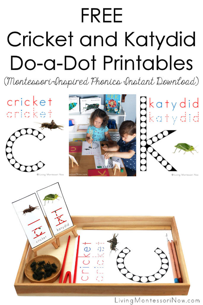 FREE Cricket and Katydid Do-a-Dot Printables (Montessori-Inspired Phonics Instant Download)