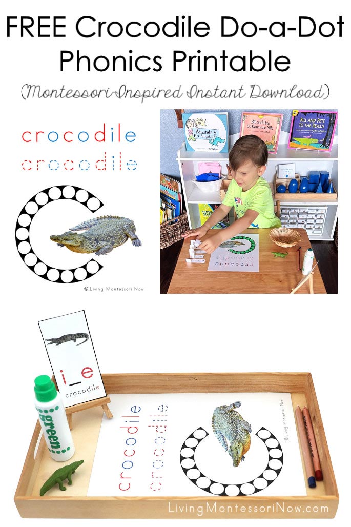 FREE Crocodile Do-a-Dot Phonics Printable