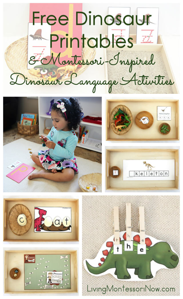 Free Dinosaur Printables and Montessori-Inspired Dinosaur Language Activities