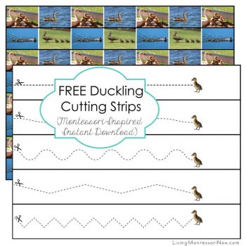 Free Duckling Cutting Strips