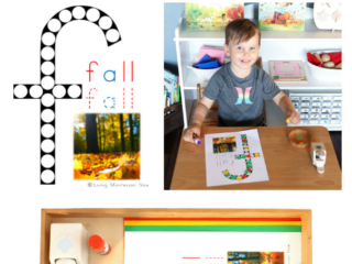 FREE Fall Do-a-Dot Phonics Printable (Montessori-Inspired Instant Download)
