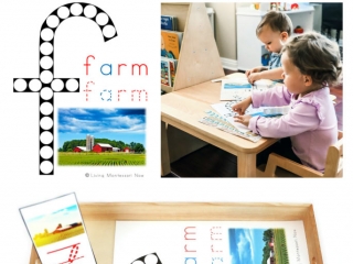 FREE Farm Do-a-Dot Phonics Printable (Montessori-Inspired Instant Download)