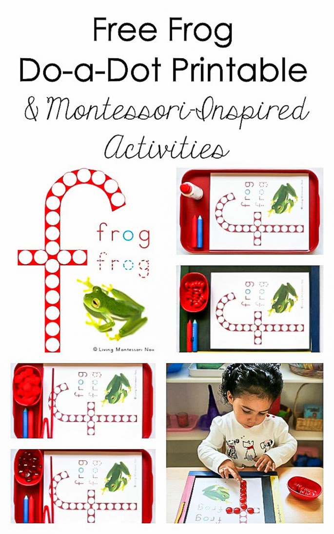 Free Frog Do-a-Dot Printable (Montessori-Inspired Instant Download)