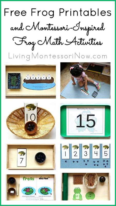 Free Frog Printables and Montessori-Inspired Frog Math Activities