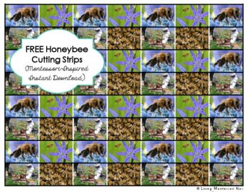 Free Honeybee Cutting Strips (Montessori-Inspired Instant Download)