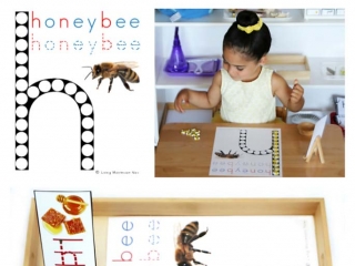 FREE Honeybee Do-a-Dot Printable (Montessori-Inspired Instant Download)