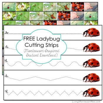 Free Ladybug Cutting Strips