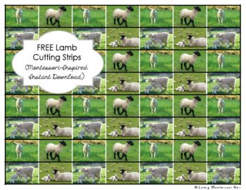 Free Lamb Cutting Strips