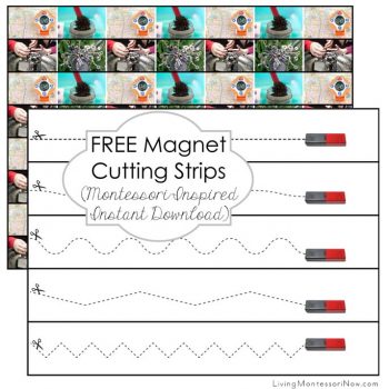 Free Magnet Cutting Strips