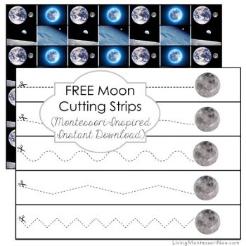https://livingmontessorinow.com/free-moon-cutting-strips-montessori-inspired-instant-download/