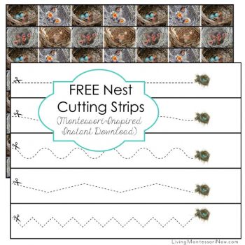 Free Nest Cutting Strips