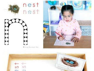 FREE Nest Do-a-Dot Printable (Montessori-Inspired Instant Download)