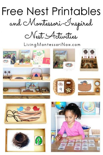 Free Nest Printables and Montessori-Inspired Nest Activities