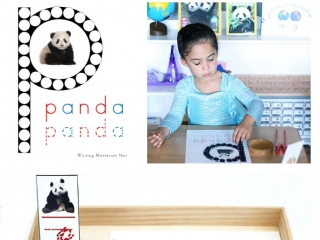 FREE Panda Do-a-Dot Printable (Montessori-Inspired Instant Download)