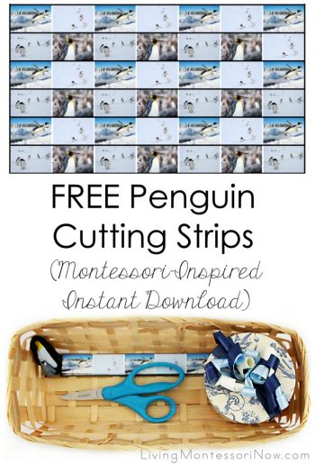 Free Penguin Cutting Strips