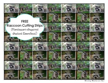 Free Raccoon Cutting Strips