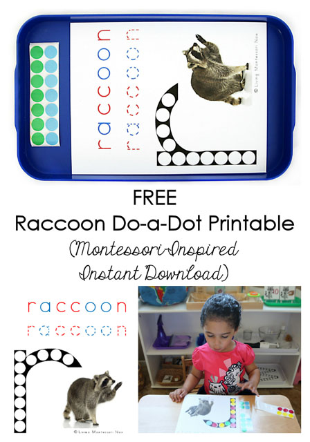 Free Raccoon Do-a-Dot Printable (Montessori-Inspired Instant Download)