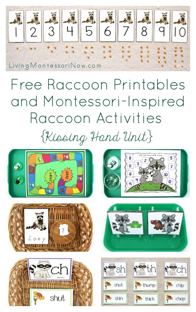 Free Raccoon Printables and Montessori-Inspired Raccoon Activities