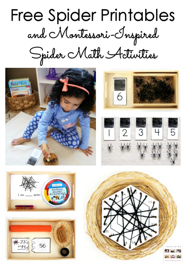 Free Spider Printables and Montessori-Inspired Spider Math Activities