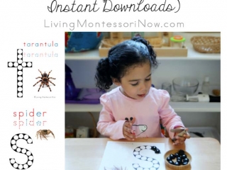 FREE Tarantua and Spider Do-a-Dot Printables (Montessori-Inspired Instant Downloads)