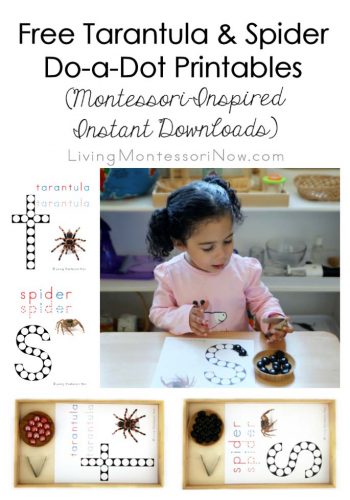 Free Tarantula and Spider Do-a-Dot Printables