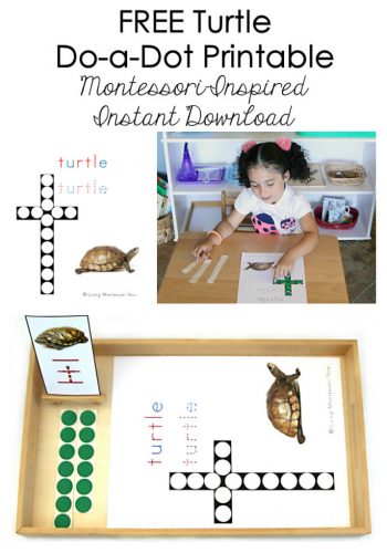 Free Turtle Do-a-Dot Printable (Montessori-Inspired Instant Download)