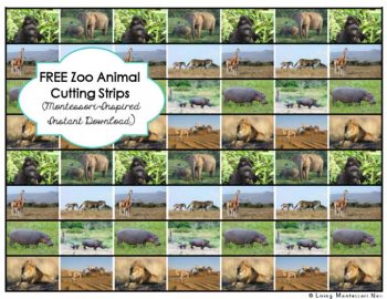 FREE Zoey Animal Cutting Strips (Montessori-Inspired Instant Download)