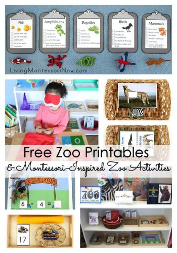 Free Zoo Printables and Montessori-Inspired Zoo Activities
