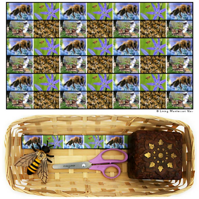 Honeybee Cutting Strips with Basket and Safari Ltd Honeybee
