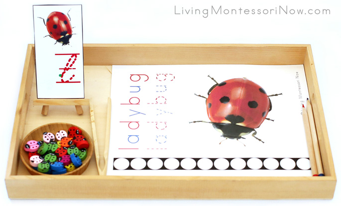Ladybug Letter L Do-a-Dot Printable and Wooden Ladybug Transfer