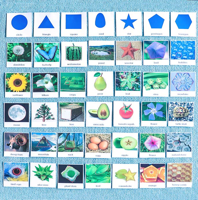 Layout of Shapes in Nature Sorting Cards
